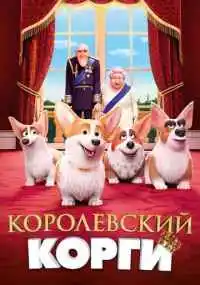 Винсент Кестелут, Бен Стассен