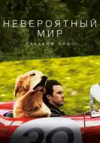 Саймон Кёртис